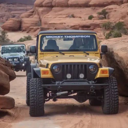 6828f3d8315fe0e5d746a9d8_Screenshot 2025-03-24 163145